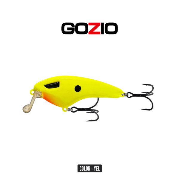 GOZIO - CHAKE Q